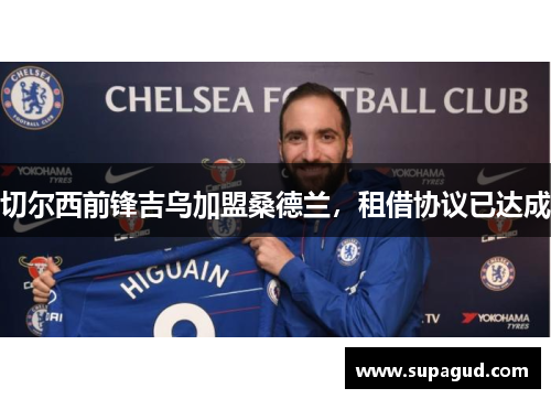 切尔西前锋吉乌加盟桑德兰，租借协议已达成